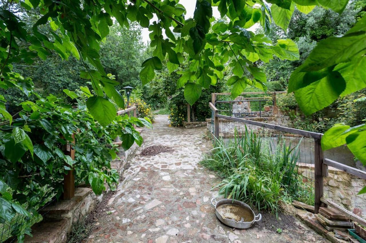 Agriturismo Il Poggio Degli Scoiattoli Perugia Exterior foto