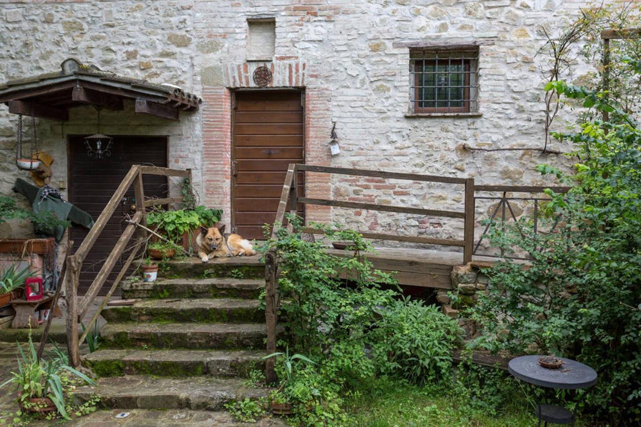 Agriturismo Il Poggio Degli Scoiattoli Perugia Exterior foto